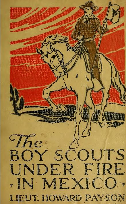 boy scouts books