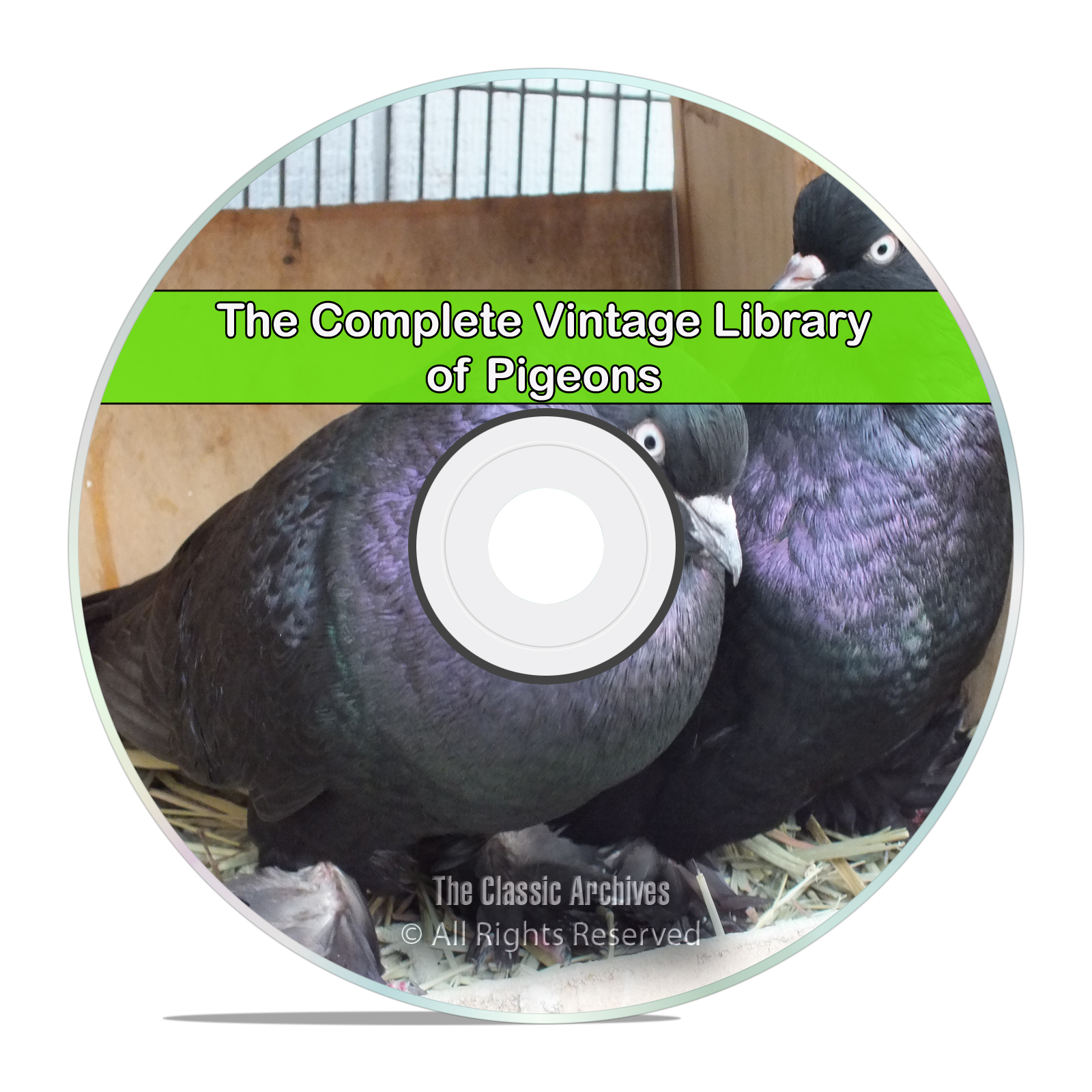 The Library of Pigeons, 60 Books, Raise, Profit Fancier Breed Squab, PDF CD - Click Image to Close