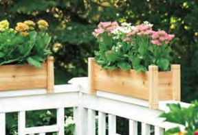 Arrange Spring Blooms in these Cedar Planters