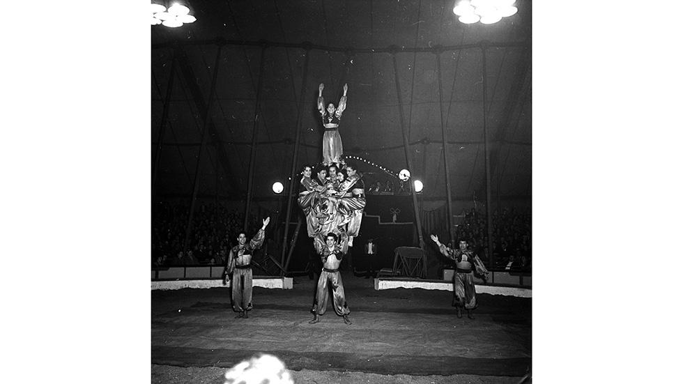 History of The Circus