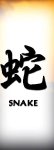 Chinese Names Tattoo Flash Snake