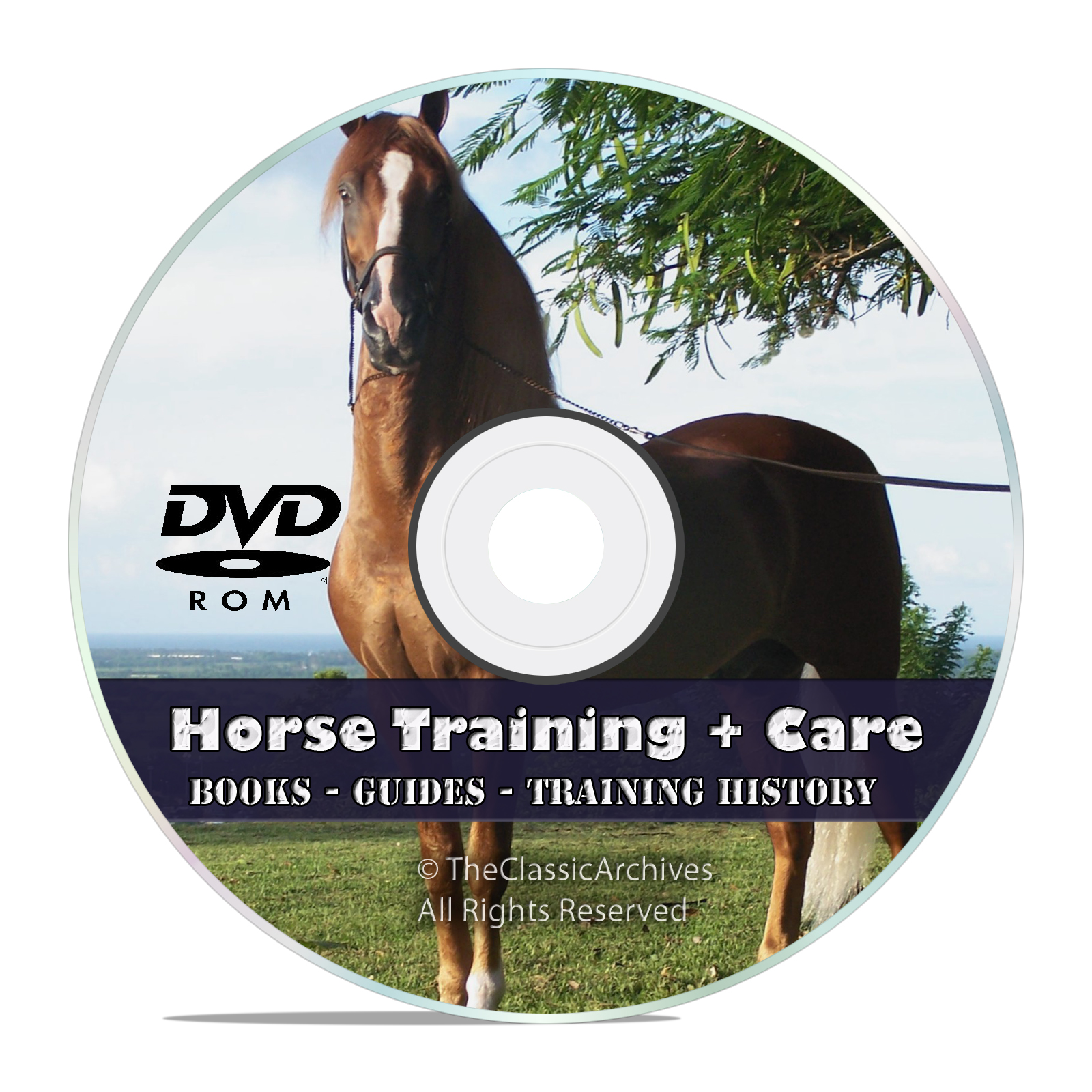 Classic How To Do Horse Training Taming Library, Make a Harness Guides DVD