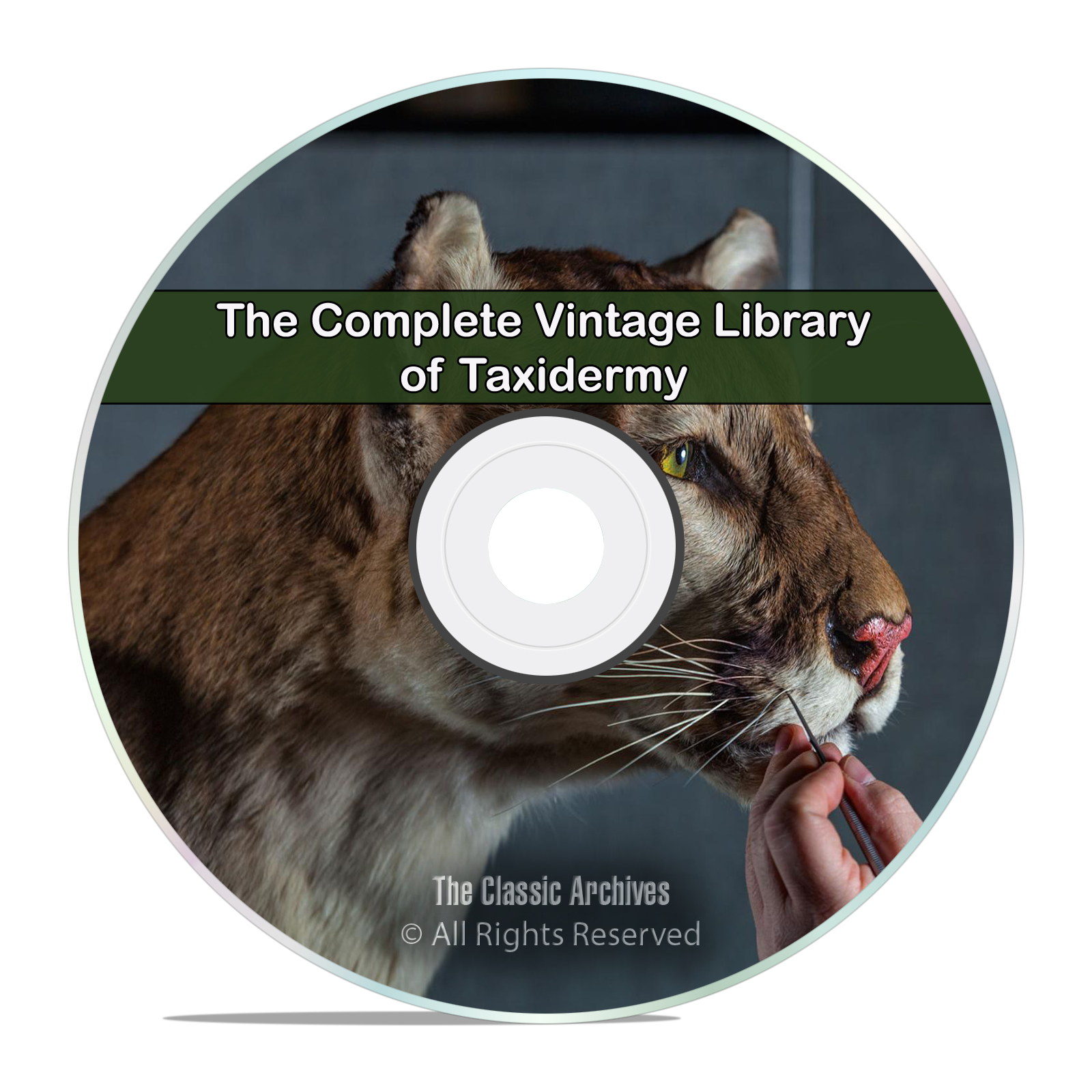 Library of Taxidermy, 66 Books, Mount Stuffing, Perserving Animals PDF DVD