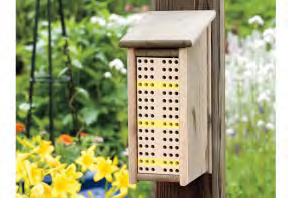 Attract Bees to your yard with this Bee Box
