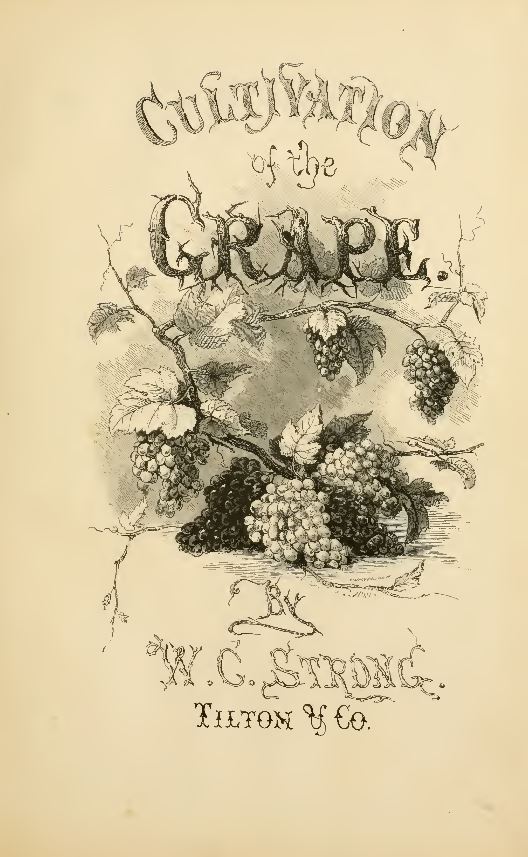 Grape Wine Books
