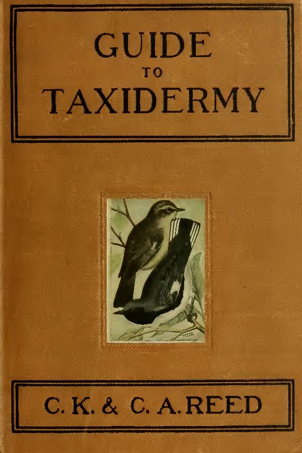 Taxidermy Books
