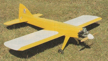 Semi Scale RC Radio Remote Control Model Airplane Plans