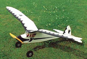Semi Scale RC Radio Remote Control Model Airplane Plans
